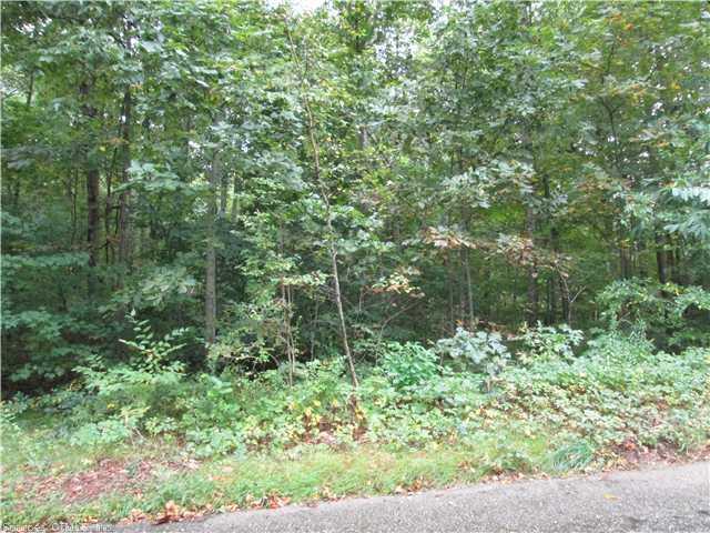 Lot 33 Bingham Road Canterbury, CT 06331 - Photo 1 of 1 Exterior Front.