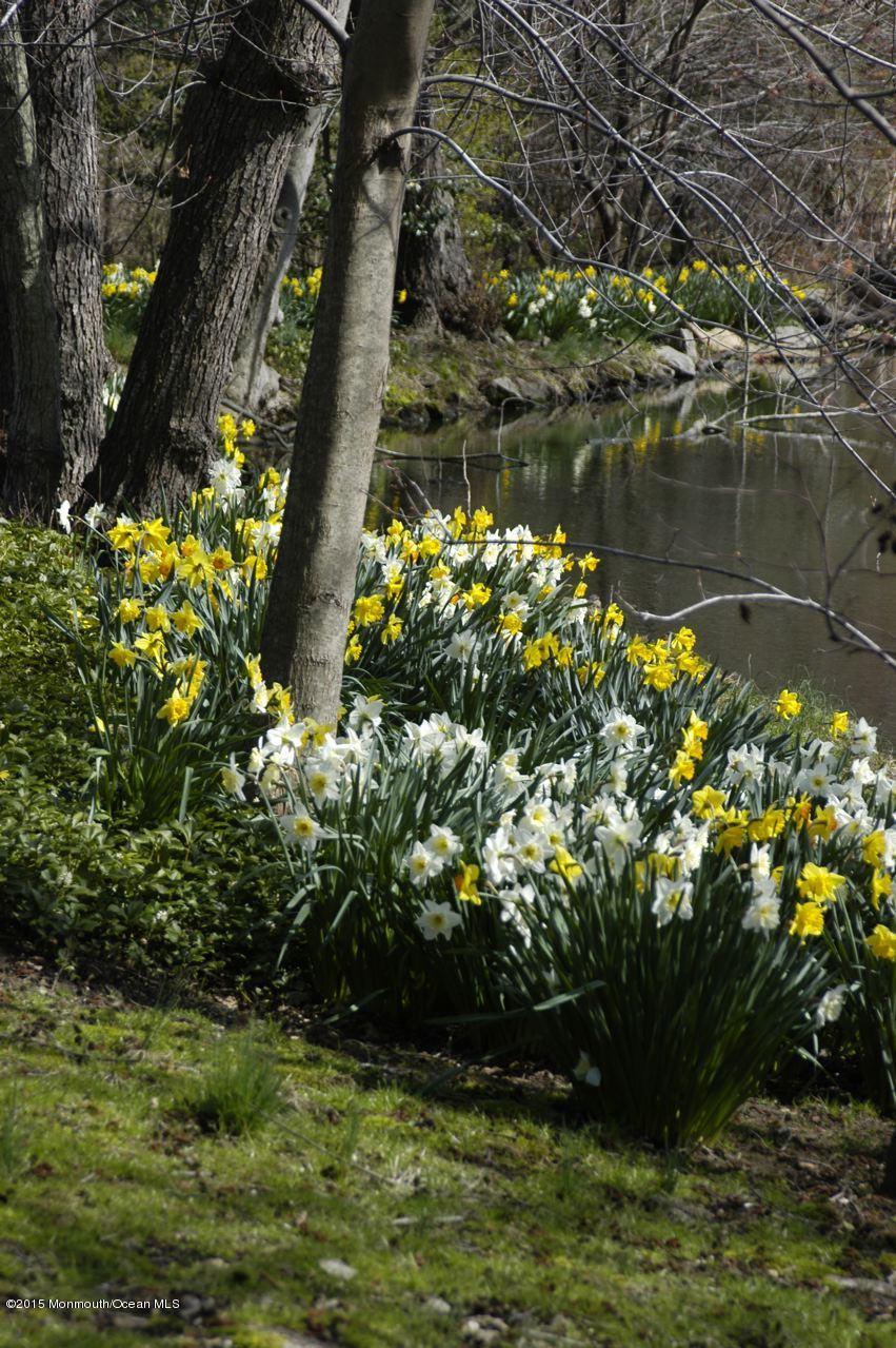 5 Heathcliff Road Rumson, NJ 07760 - Photo 35 of 39 pond