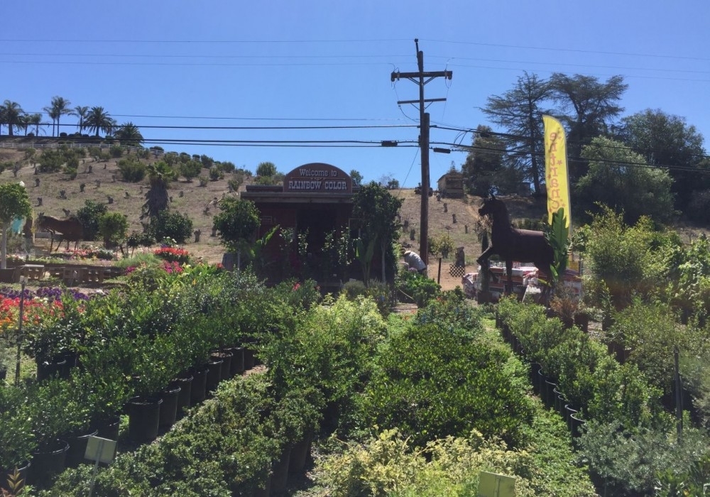 4159 North Mission Road Fallbrook, CA 92028 - Photo 14 of 23