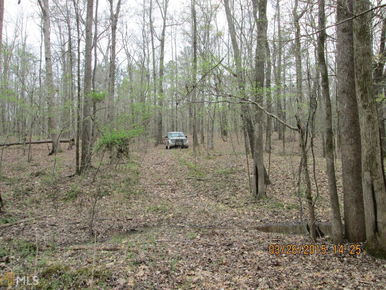 0 Howard Roberts Road Gray, GA 31032 - Photo 1 of 1 Gallery Image 1