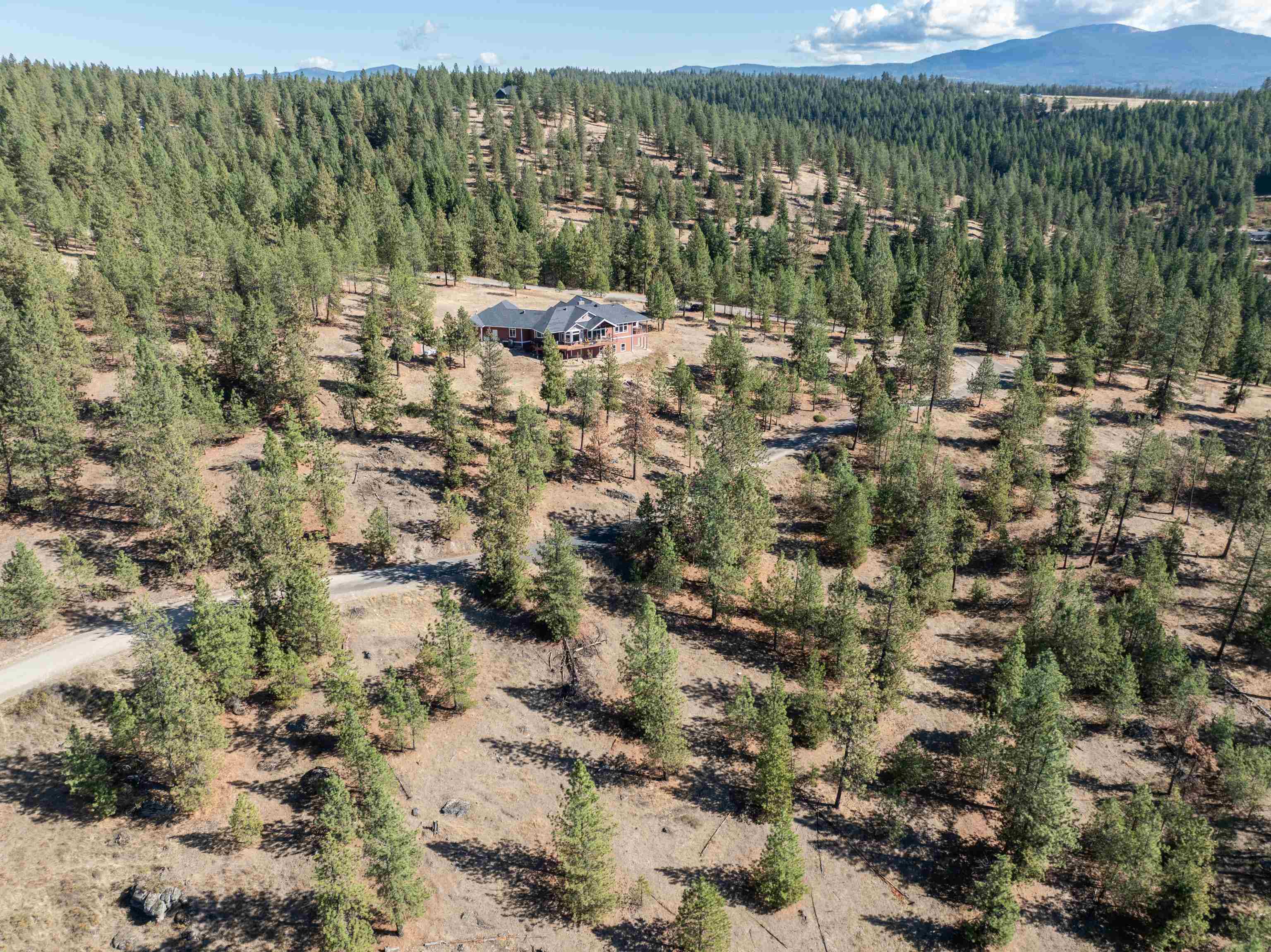 6708 East Matthew Road Chattaroy, WA 99003 - Photo 44 of 50