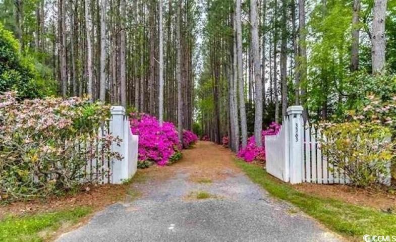 3363 Choppee Road Georgetown, SC 29440 - Photo 5 of 32 Gallery Image 5