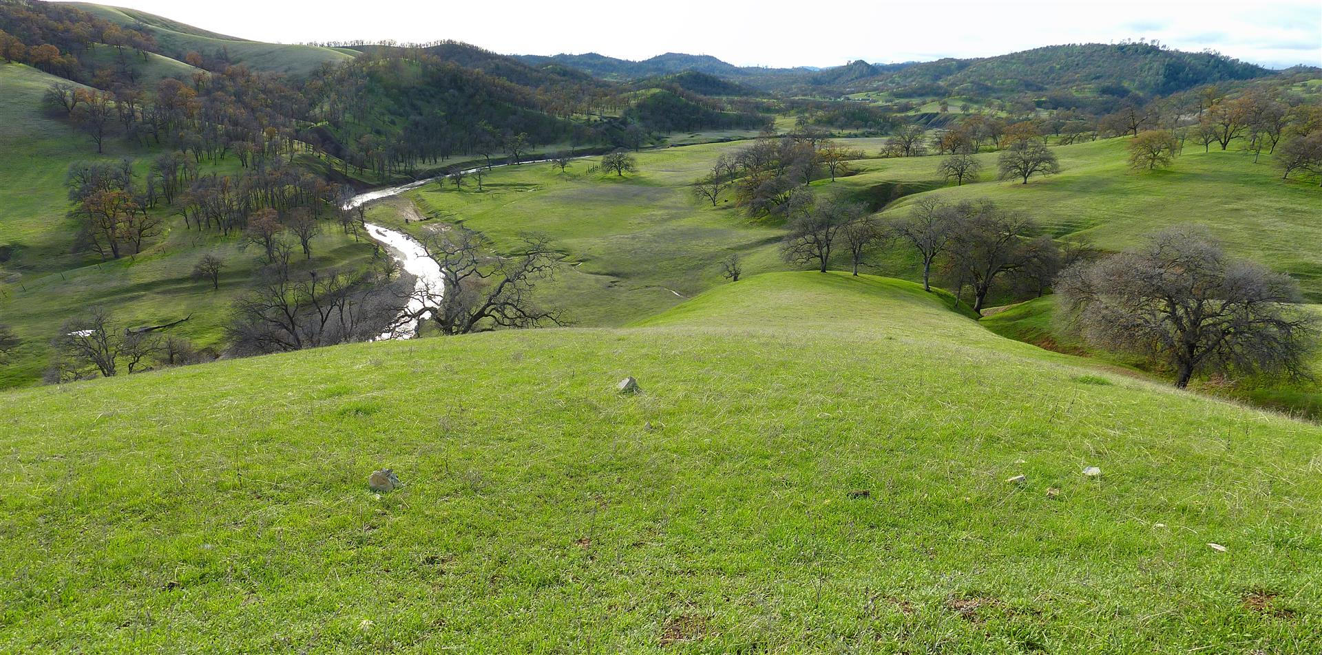 Lot D Gold Diggers Road Igo, CA 96047 - Photo 5 of 11 a view of a lush green hillside and a building in the background