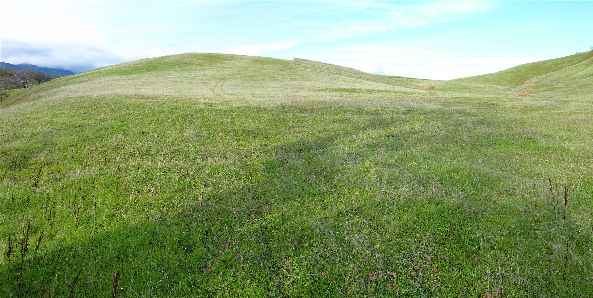 Lot D Gold Diggers Road Igo, CA 96047 - Photo 8 of 11 a view of an mountain