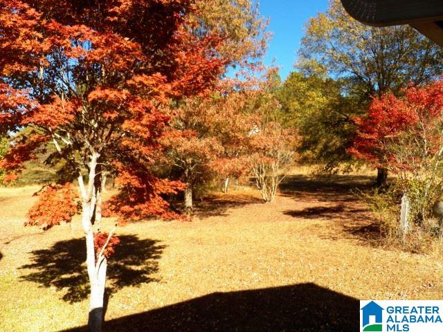 3952 Curry Station Road Munford, AL 36268 - Photo 41 of 49