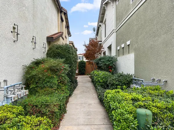 a view of a garden with pathway