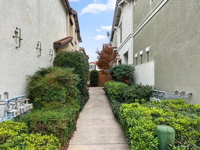a view of a garden with pathway