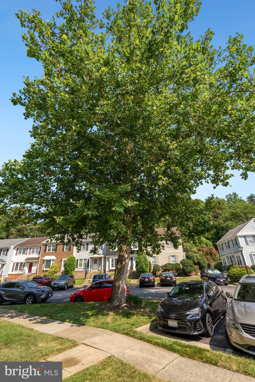 7302 Rolling Oak Lane Springfield, VA 22153 - Photo 3 of 59 Exterior Front