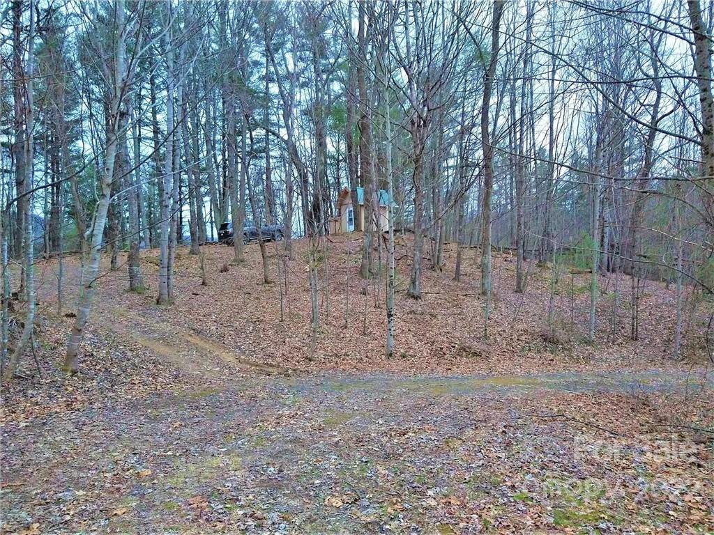 Tbd Tbd Rosa Road Warrensville, NC 28693 - Photo 3 of 12 Gallery Image 3