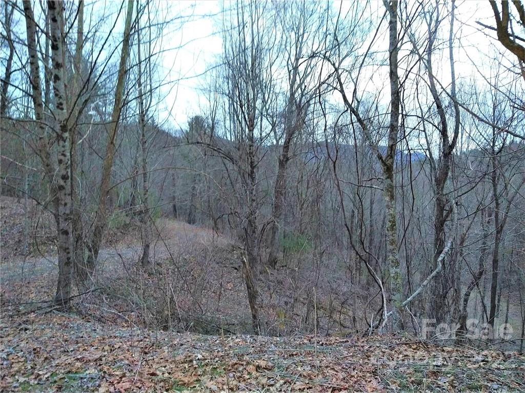 Tbd Tbd Rosa Road Warrensville, NC 28693 - Photo 4 of 12 Gallery Image 4