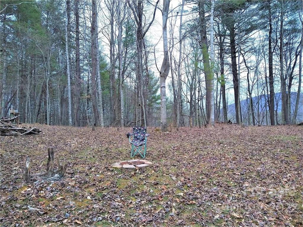 Tbd Tbd Rosa Road Warrensville, NC 28693 - Photo 7 of 12 Gallery Image 7