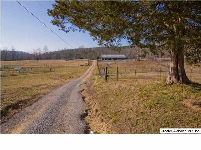 905 Smith Road Oneonta, AL 35121 - Photo 15 of 30