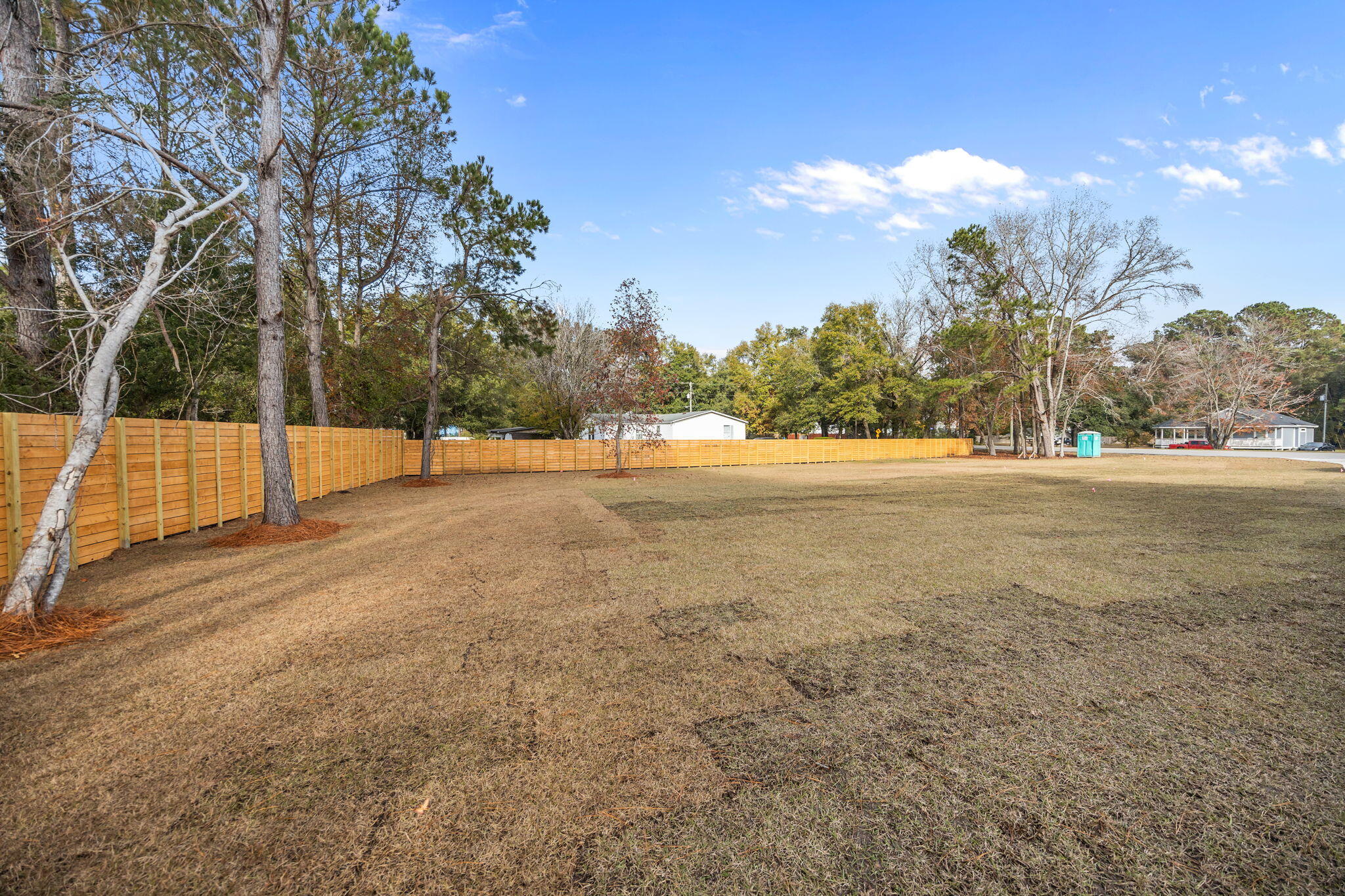 2828 River Road Johns Island, SC 29455 - Photo 7 of 45 plenty of room for barn or ADU