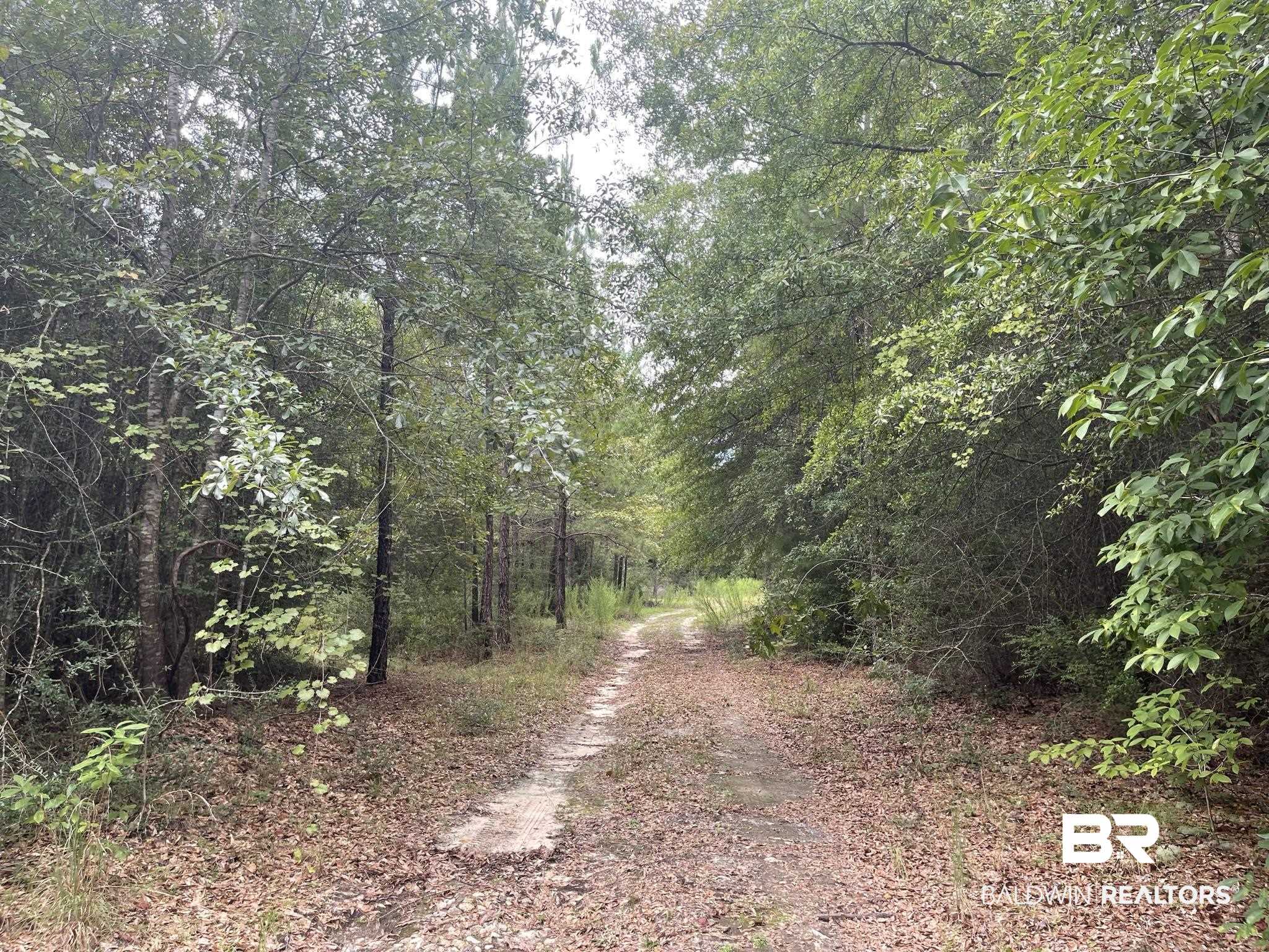 0 County Road 11 Wing, AL 36483 - Photo 18 of 37