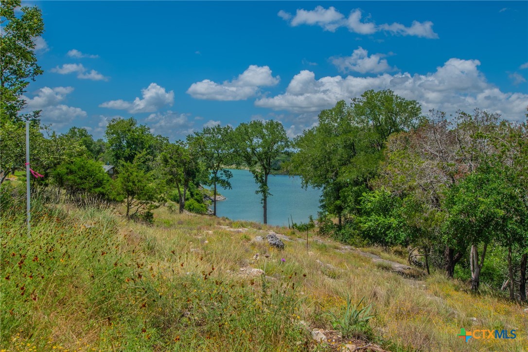 2249 Prickley Pear Road Belton, TX 76513 - Photo 4 of 16