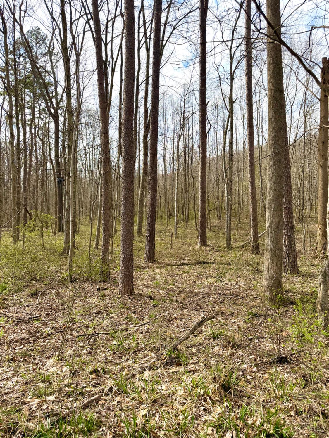 0 Fyffe Hollow Road Chillicothe, OH 45601 - Photo 63 of 96