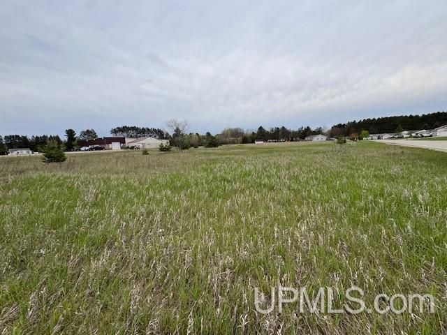 2 Danforth M.2 Boulevard Escanaba, MI 49829 - Photo 1 of 3