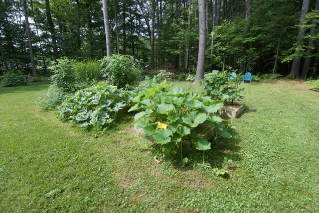 725 Mercer Road Norridgewock, ME 04957 - Photo 40 of 64 DSC_0225 1 Medium