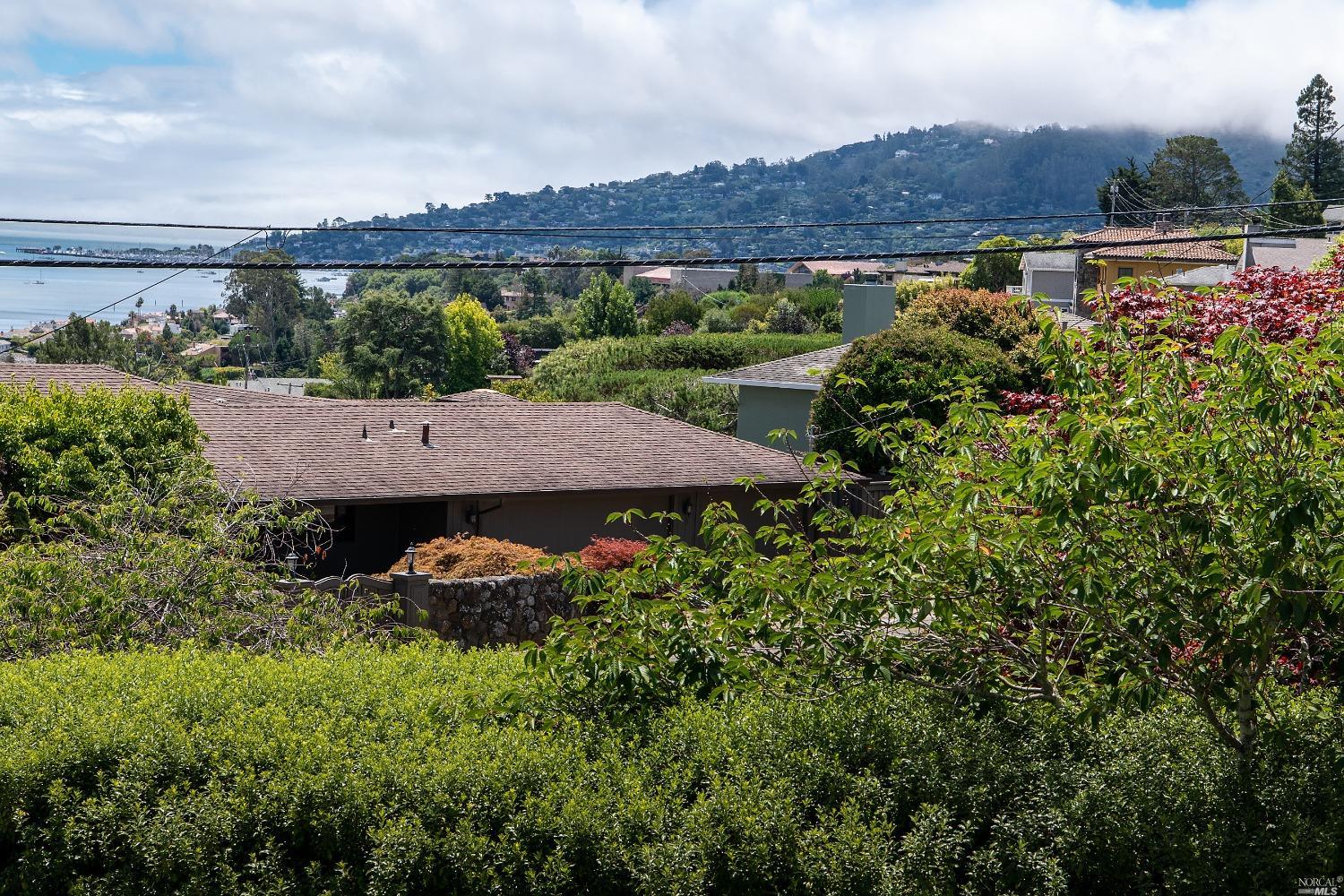 208 Reed Boulevard Mill Valley, CA 94941 - Photo 34 of 47 Sausalito is beautiful, too!