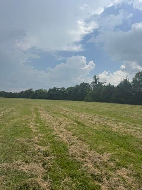 684 County Road Tupelo, MS 38801 - Photo 18 of 42 Gallery Image 18