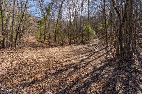 $84,000 | Lot 1-3 Callalantee Crse Mountain, Unit 1 0003 AND 0004, Mountain City, TN 37683
