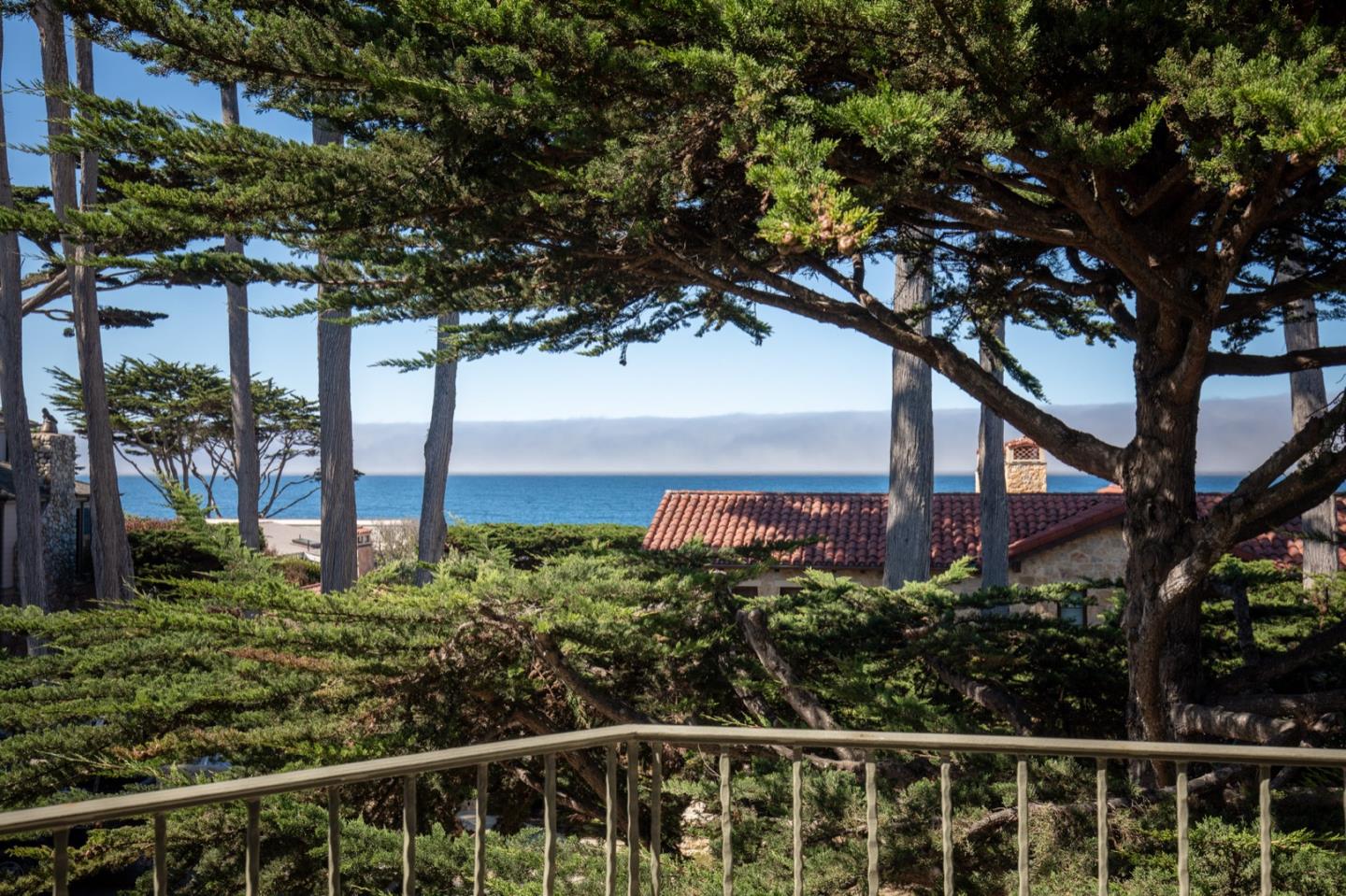 26255 Ocean View Avenue Carmel, CA 93923 - Photo 5 of 20 a view of a garden