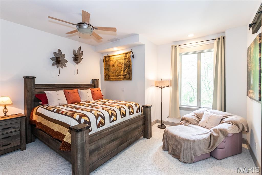 4218 White Oak Drive High Ridge, MO 63049 - Photo 69 of 99