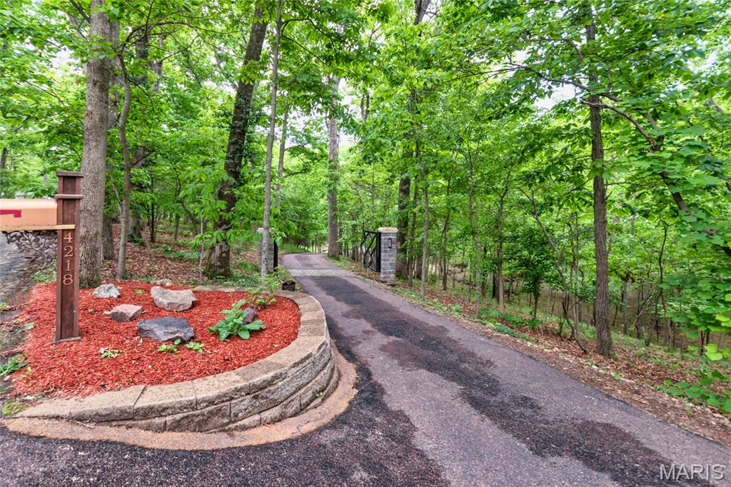 4218 White Oak Drive High Ridge, MO 63049 - Photo 7 of 99