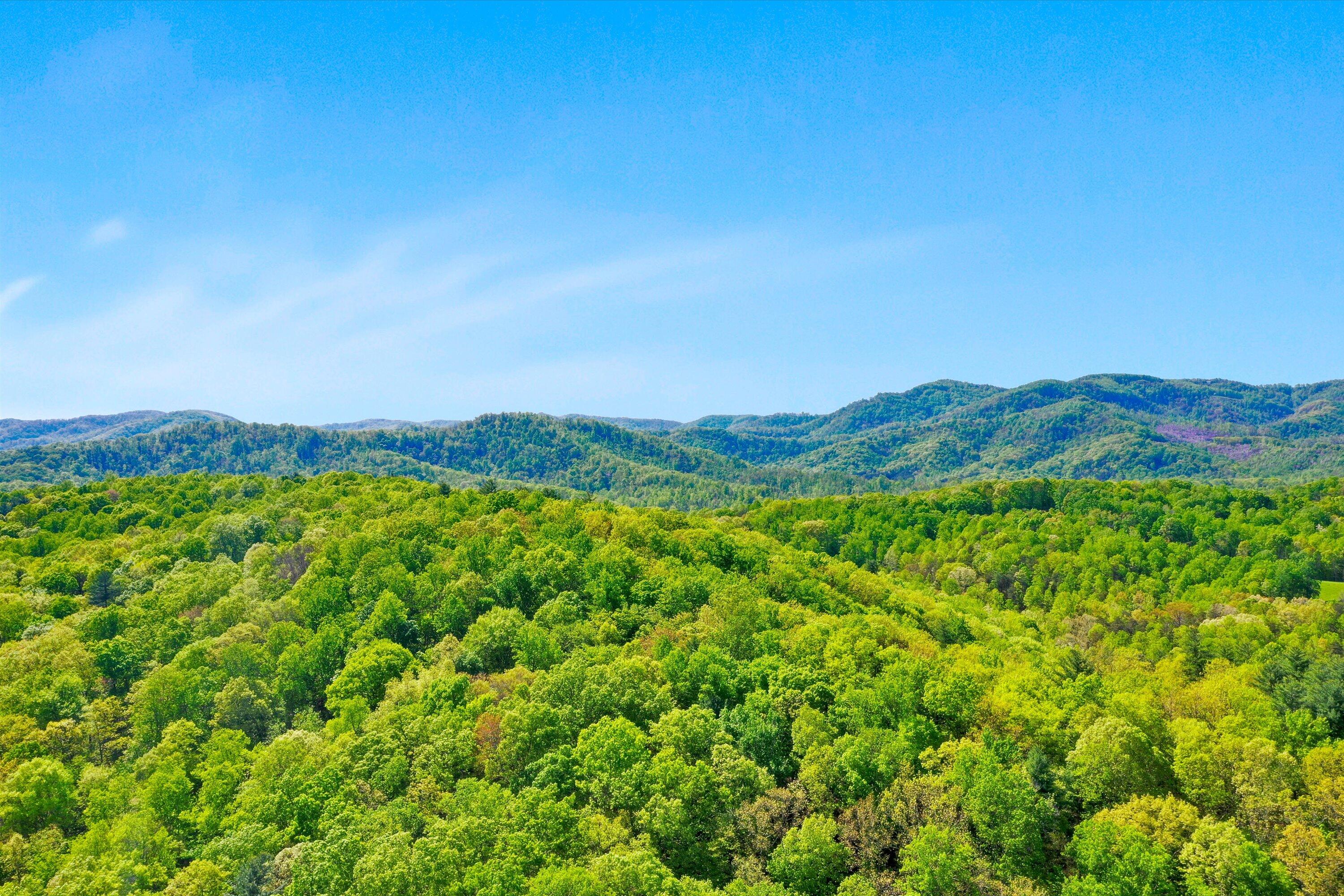 Surrounding Mountains
