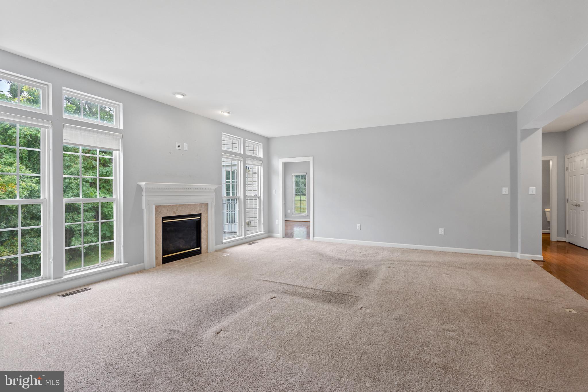 1612 Durham Way Hanover, MD 21076 - Photo 10 of 61 Gas fireplace on entry level