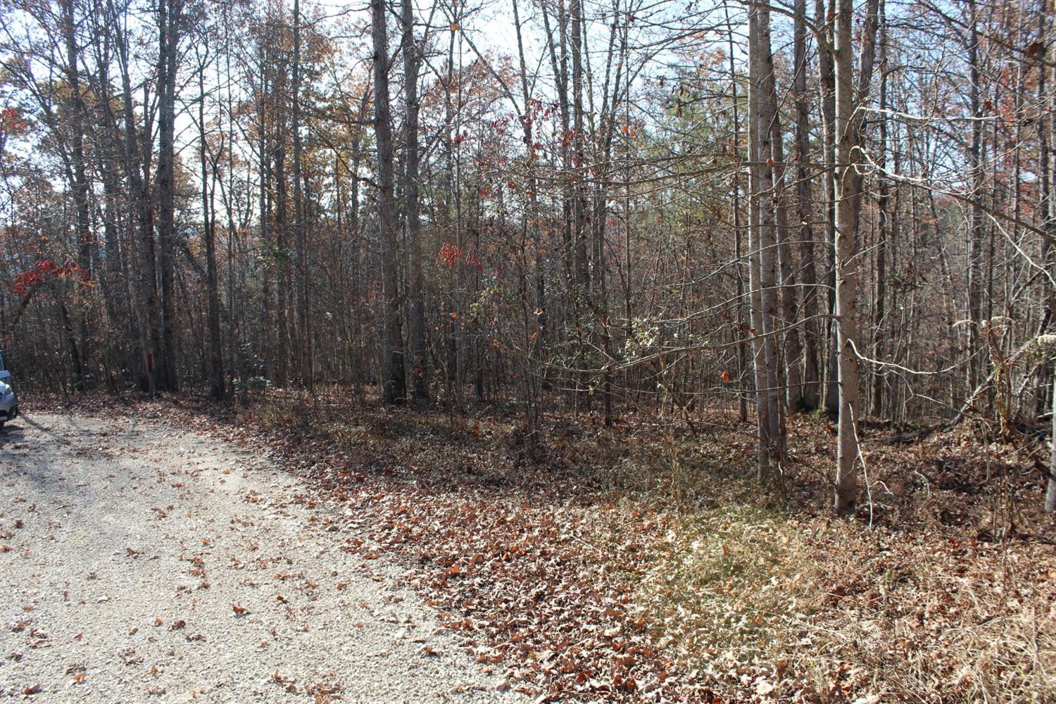 576 Angel Falls Road, Unit LOT18 Zoe, KY 41397 - Photo 5 of 24 Photo 5