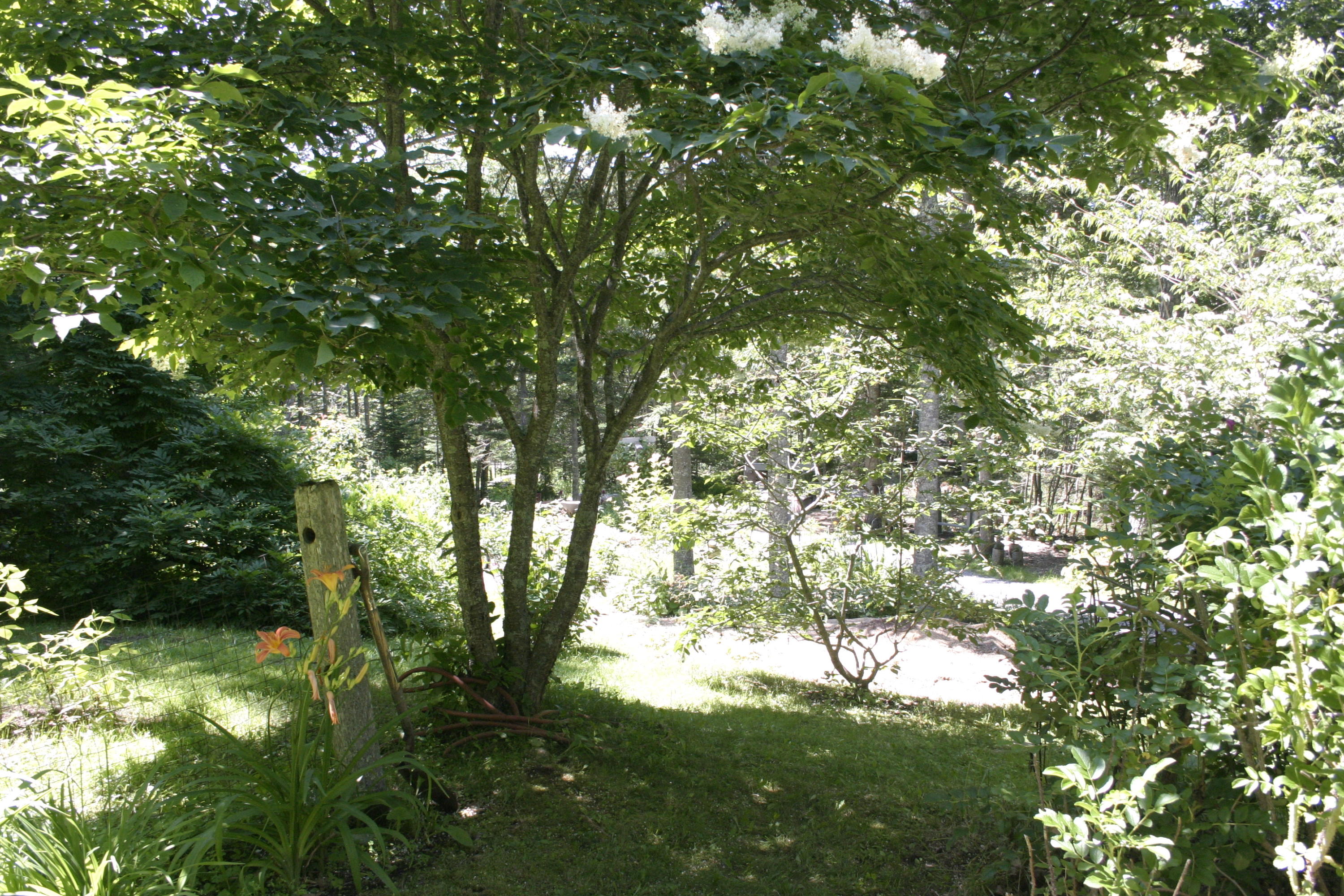 36 Granite Hill Road Pemaquid, ME 04558 - Photo 122 of 134 IMG_0471