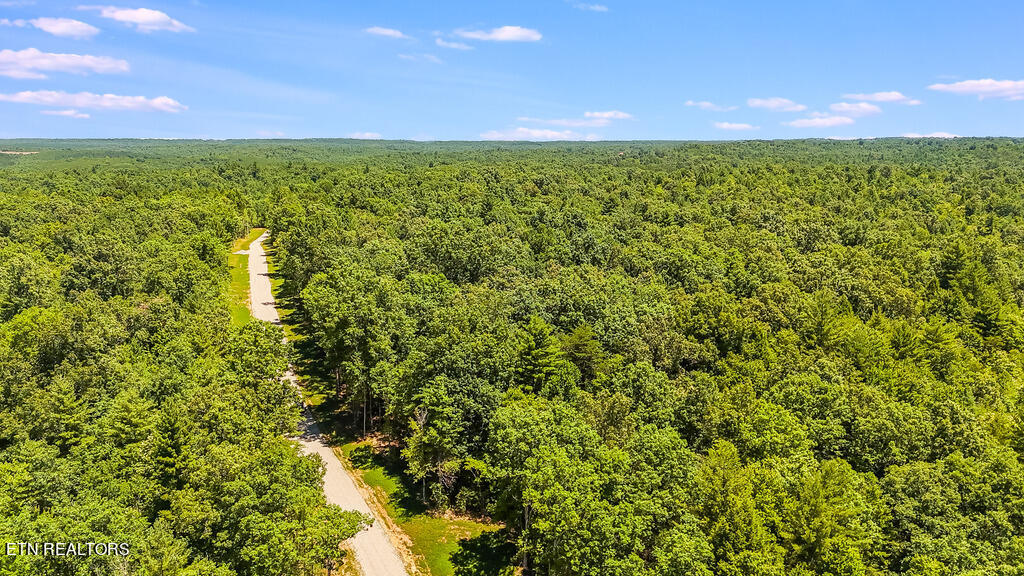 Twin Bridge Road Deer Lodge, TN 37726 - Photo 11 of 12 DJI_20240701124959_0566_D