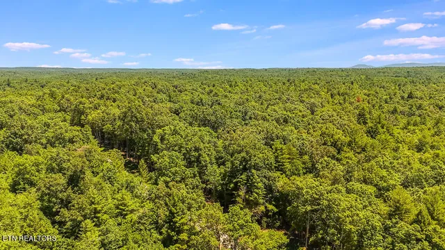 $199,900 | Twin Bridge Road, Deer Lodge, TN 37726