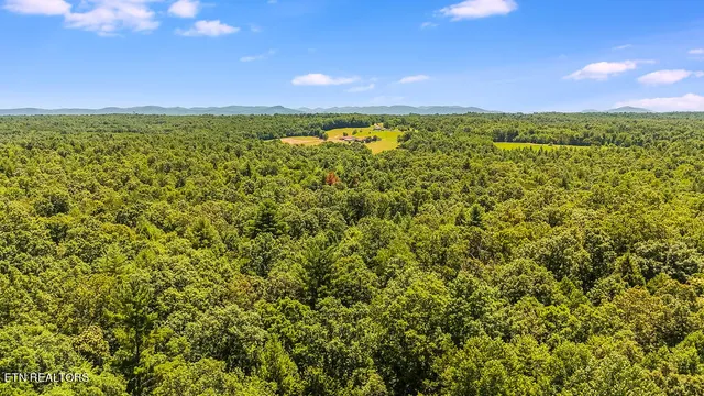 $199,900 | Twin Bridge Road, Deer Lodge, TN 37726