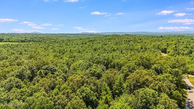 $199,900 | Twin Bridge Road, Deer Lodge, TN 37726