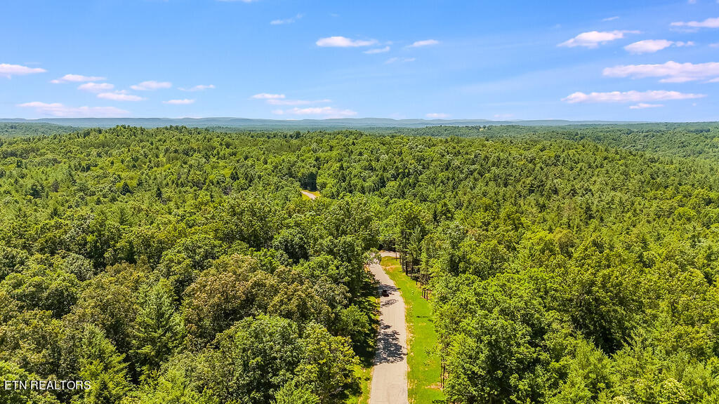 Twin Bridge Road Deer Lodge, TN 37726 - Photo 6 of 12 DJI_20240701124802_0559_D