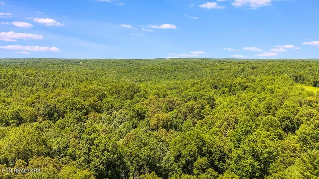 $199,900 | Twin Bridge Road, Deer Lodge, TN 37726