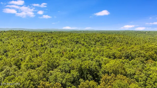 $199,900 | Twin Bridge Road, Deer Lodge, TN 37726