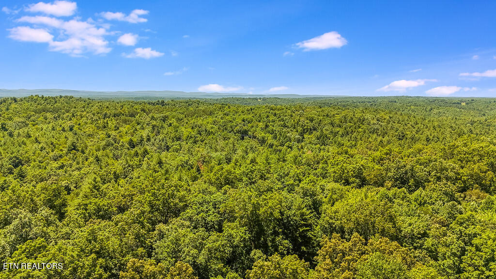 Twin Bridge Road Deer Lodge, TN 37726 - Photo 8 of 12 DJI_20240701124833_0561_D