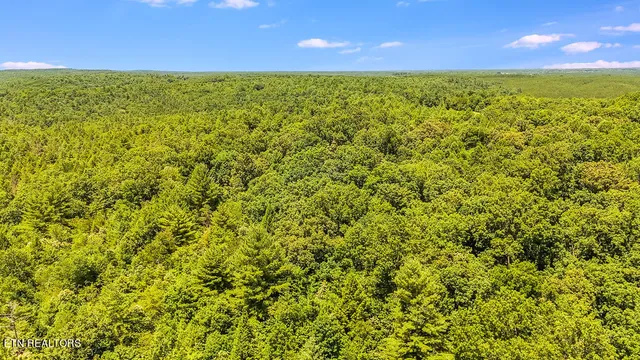 $199,900 | Twin Bridge Road, Deer Lodge, TN 37726