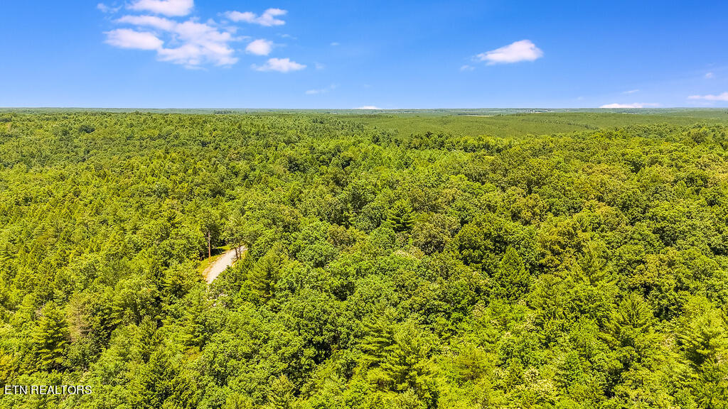 Twin Bridge Road Deer Lodge, TN 37726 - Photo 10 of 12 DJI_20240701124934_0565_D