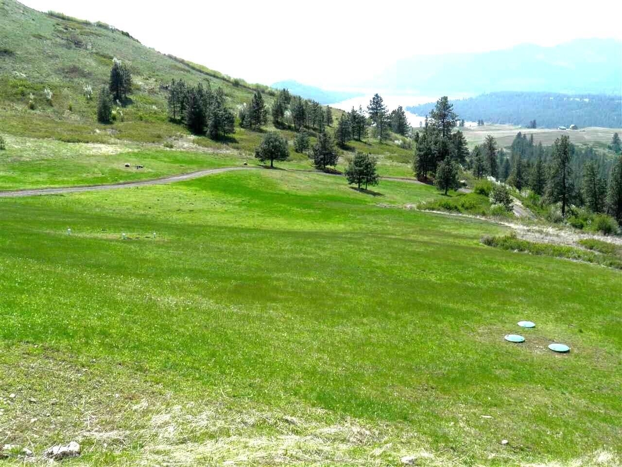 4497 25 S Highway Hunters, WA 99137 - Photo 28 of 50