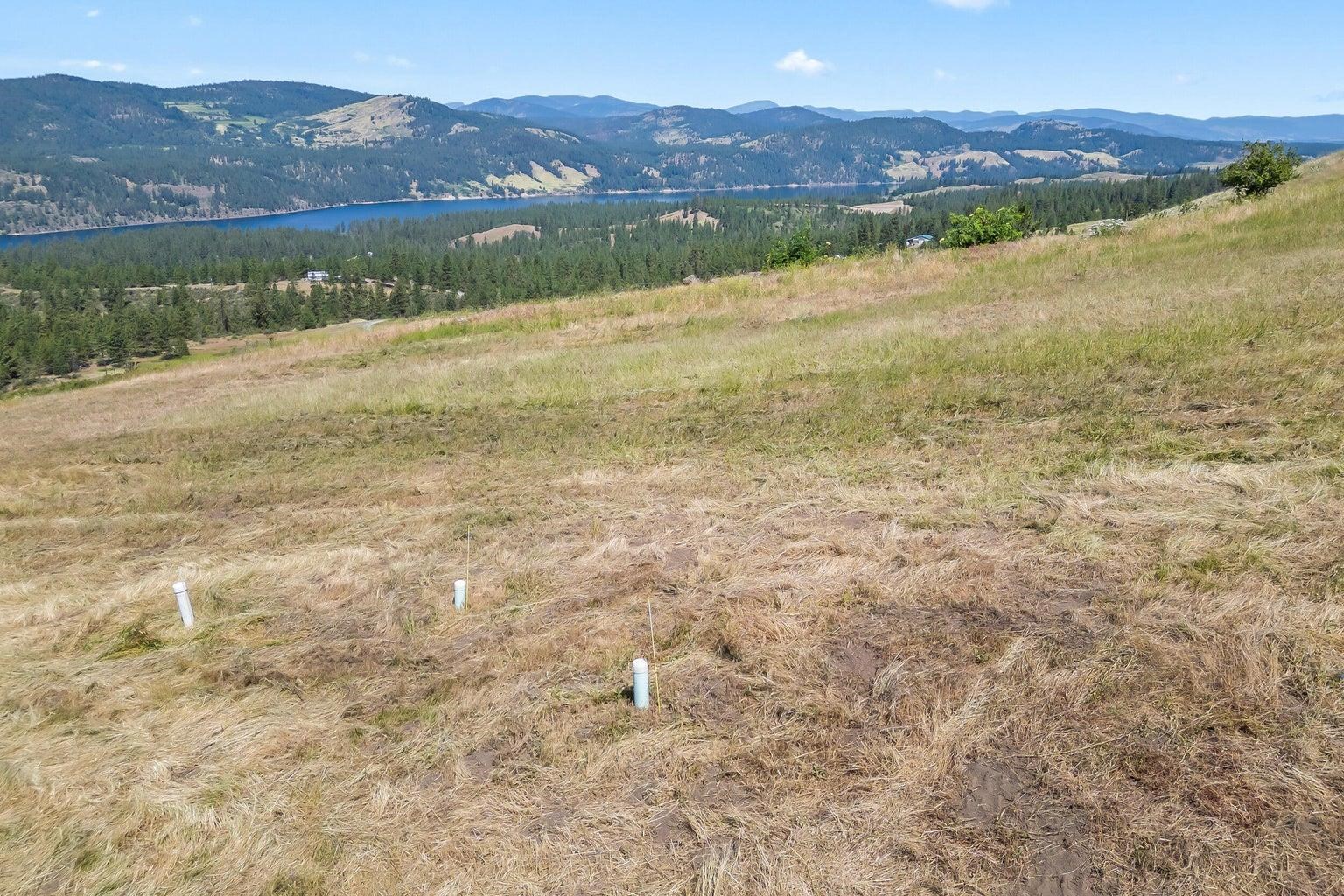 4497 25 S Highway Hunters, WA 99137 - Photo 30 of 50