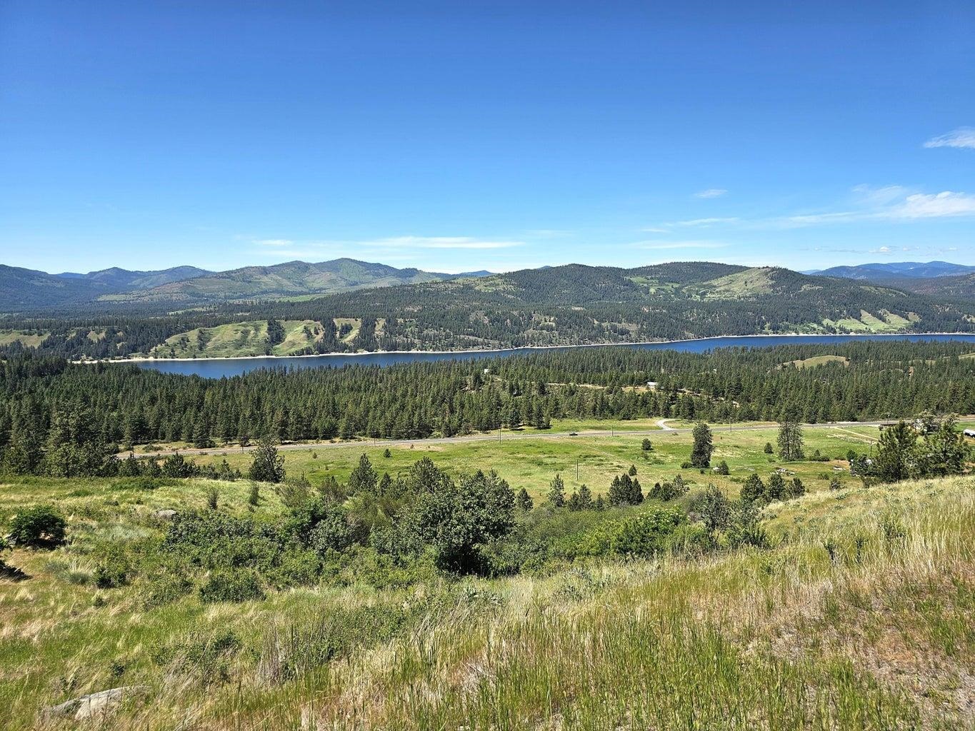 4497 25 S Highway Hunters, WA 99137 - Photo 7 of 50