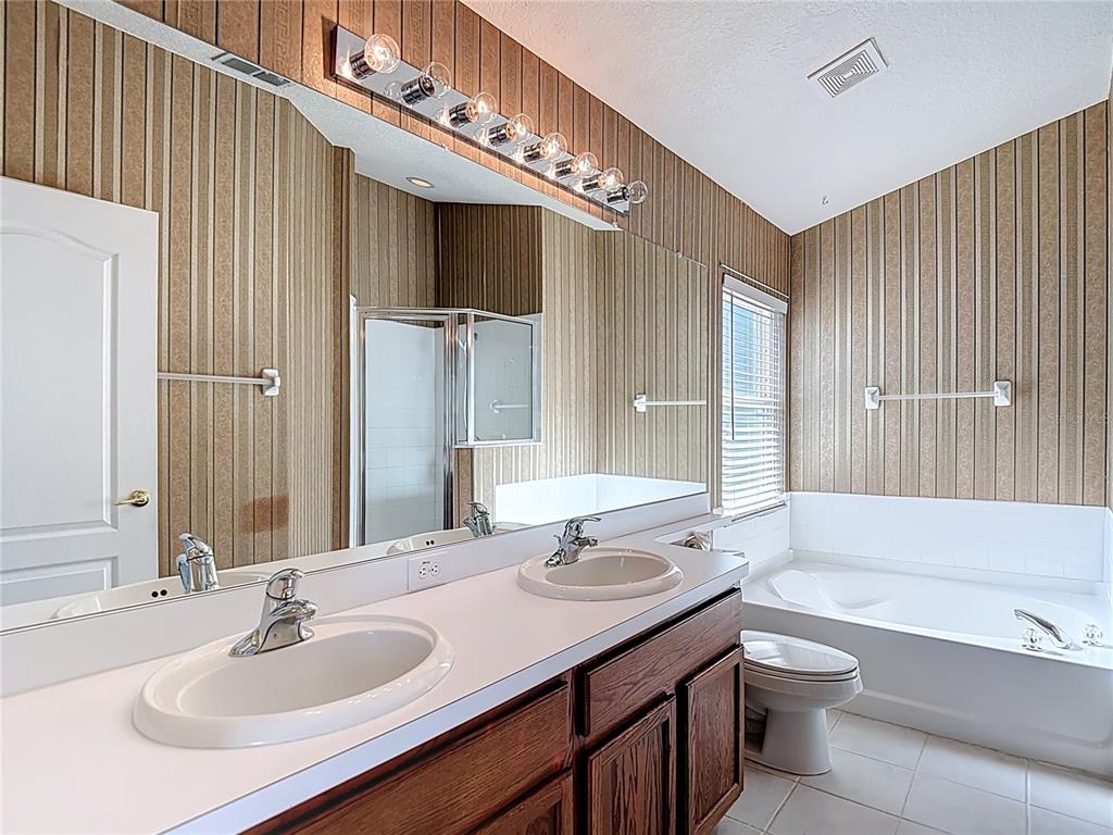 4824 Woodmere Road Land O Lakes, FL 34639 - Photo 33 of 50 a bathroom with a granite countertop sink and a mirror