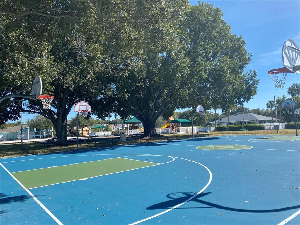 4824 Woodmere Road Land O Lakes, FL 34639 - Photo 44 of 50 a view of outdoor space and swimming pool