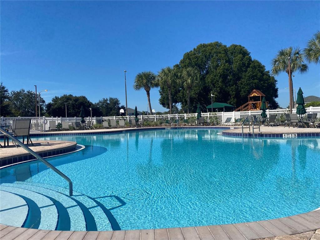 4824 Woodmere Road Land O Lakes, FL 34639 - Photo 46 of 50 a view of swimming pool with outdoor seating and yard in the back