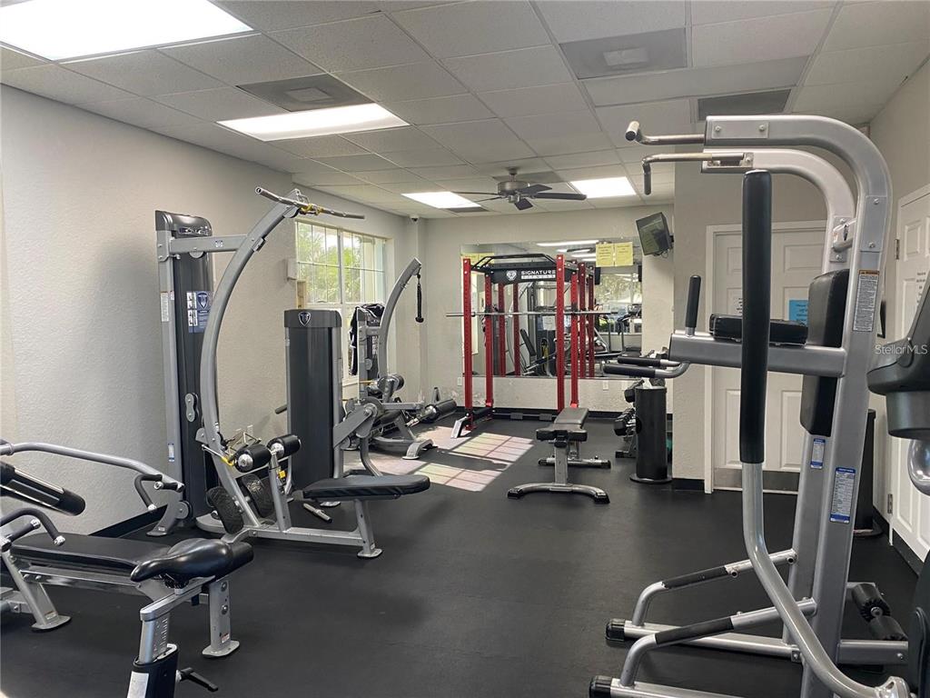 4824 Woodmere Road Land O Lakes, FL 34639 - Photo 48 of 50 a view of a room with gym equipment