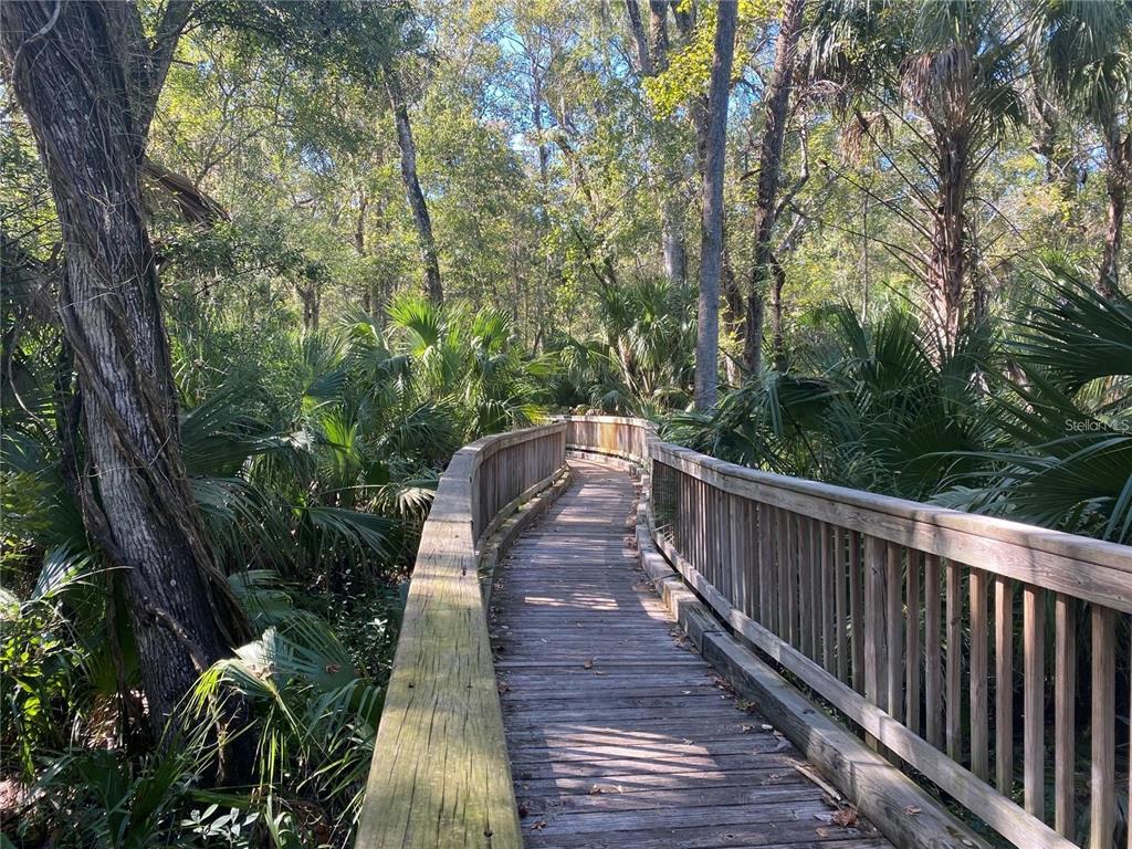 4824 Woodmere Road Land O Lakes, FL 34639 - Photo 49 of 50 a view of balcony and yard